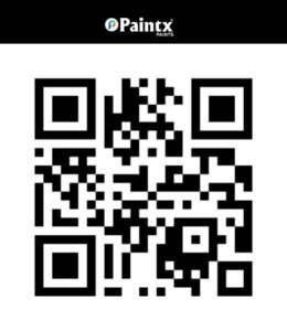 PaintX Paints