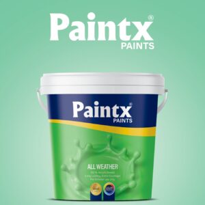 paint 1